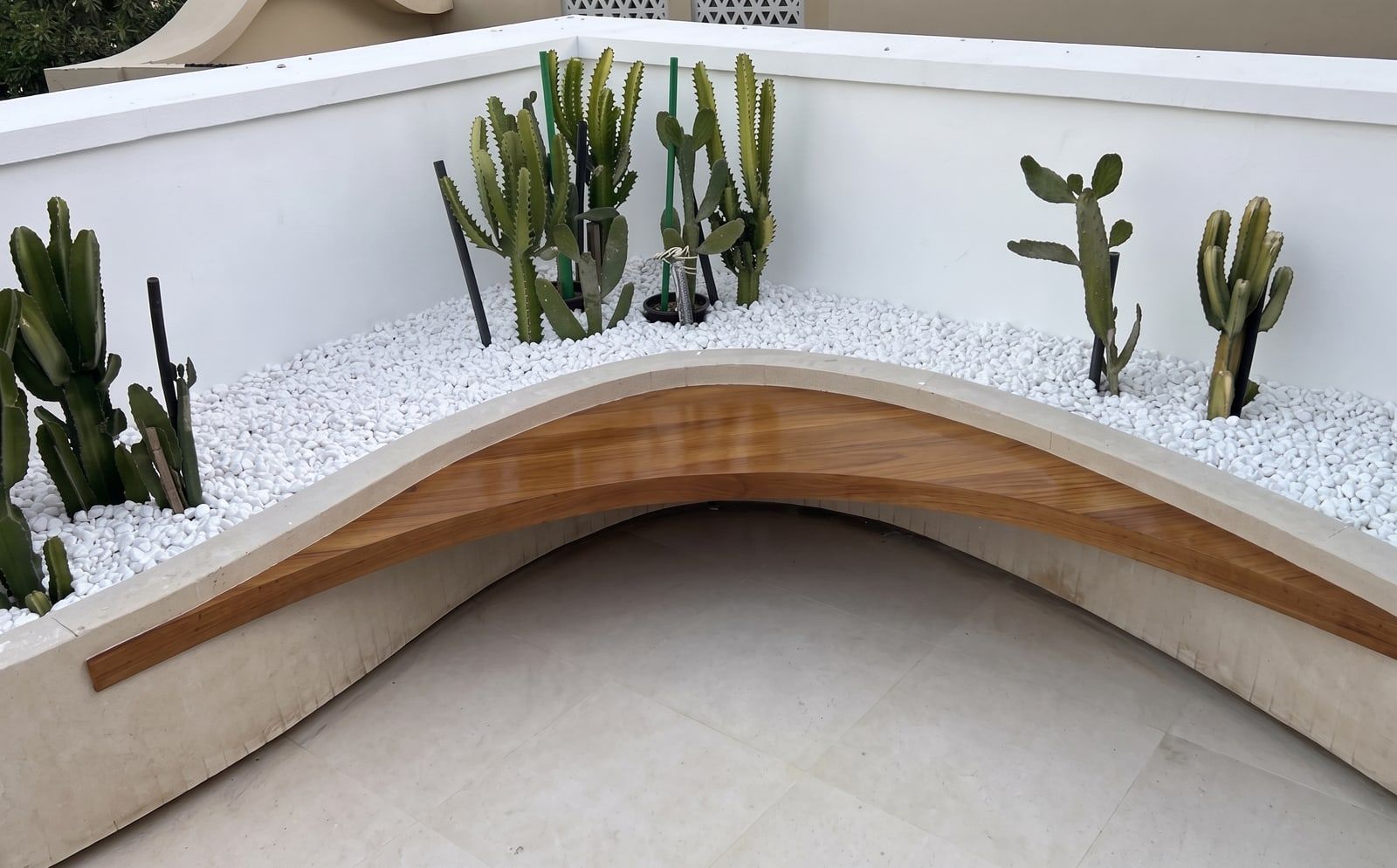 A solid timber seat curved into a rendered planter, backed by cacti in a bed of white pebble.