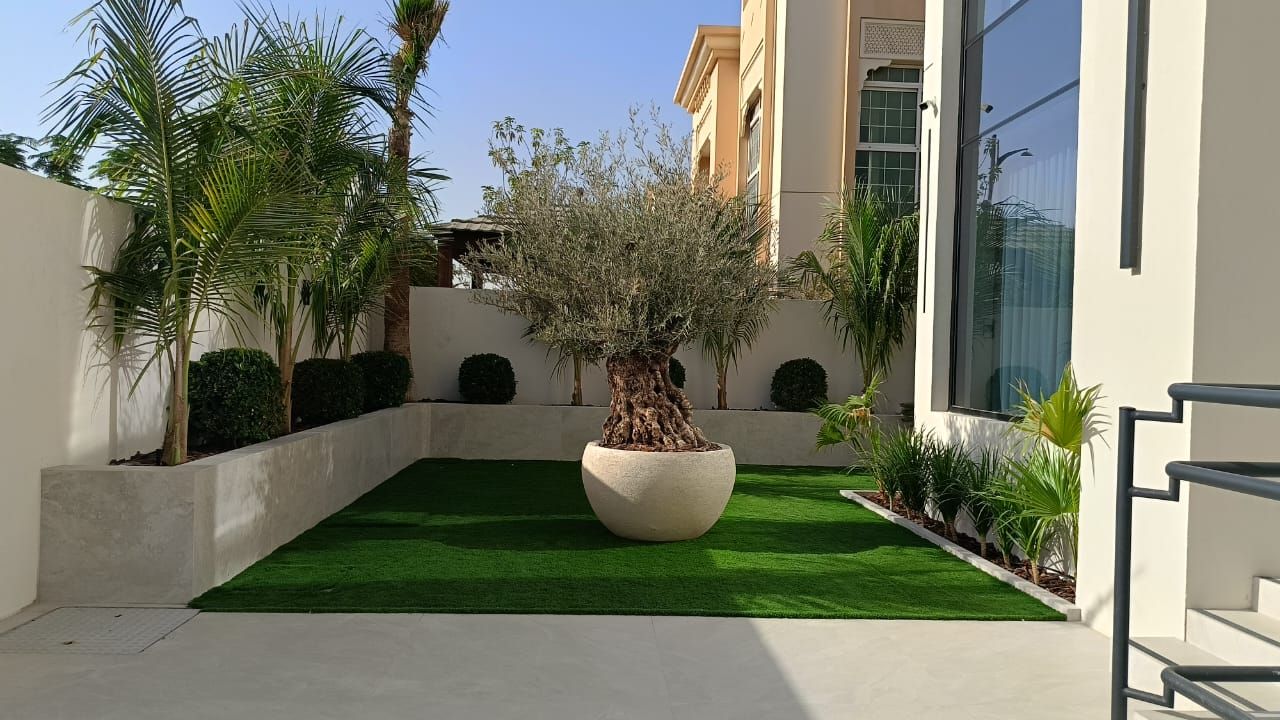 Side Garden & Lawn