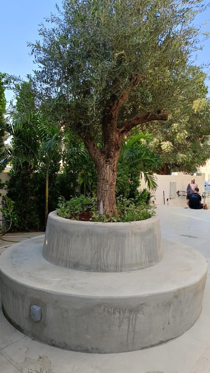 Courtyard Planter Build